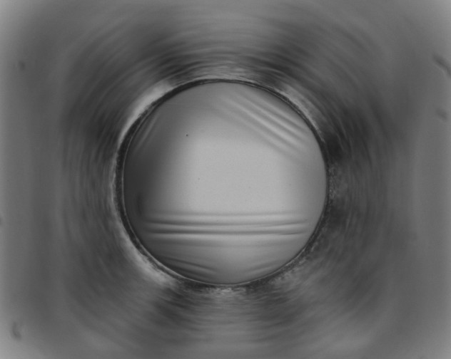 X0000097491139200803071733