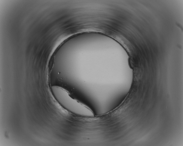 X0000097491140200803071733