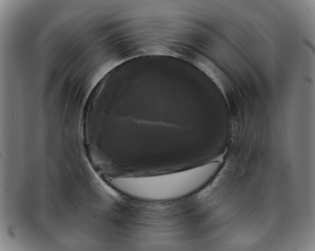 X0000097491141200803071733