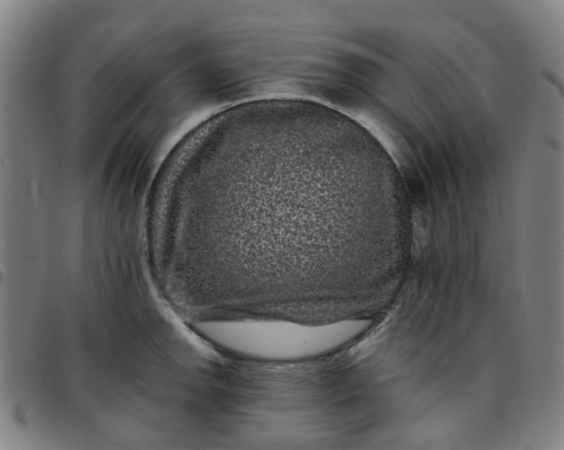 X0000097491142200803071733