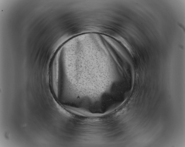 X0000097491143200803071733