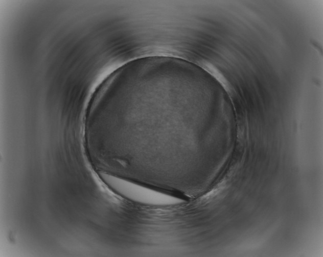 X0000097491144200803071733