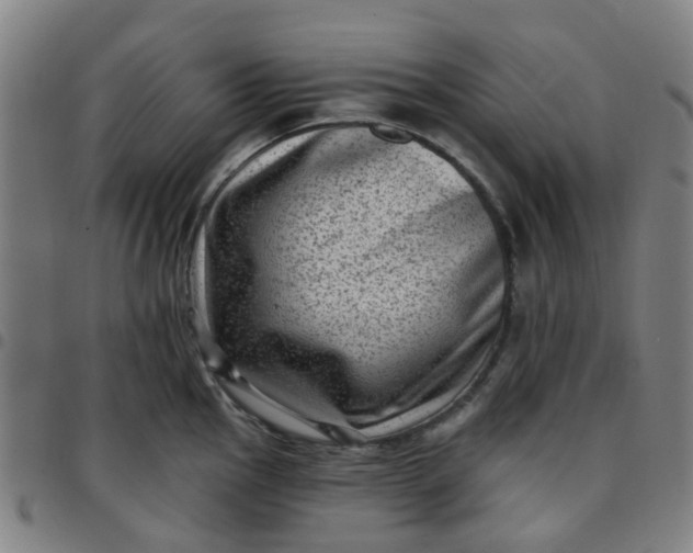 X0000097491145200803071733