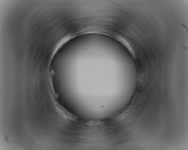 X0000097491146200803071733