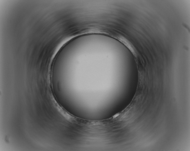 X0000097491148200803071733