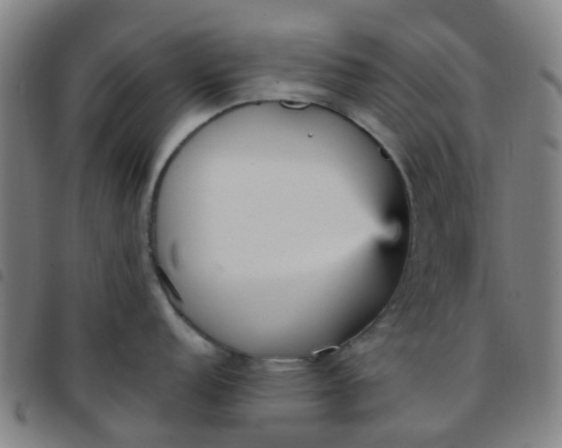 X0000097491152200803071733