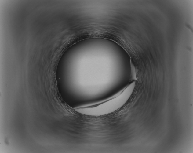 X0000097491153200803071733