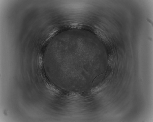 X0000097491154200803071733