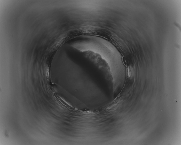 X0000097491155200803071733