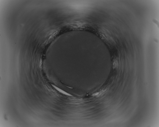 X0000097491156200803071733