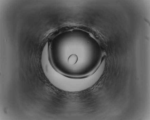 X0000097491157200803071733