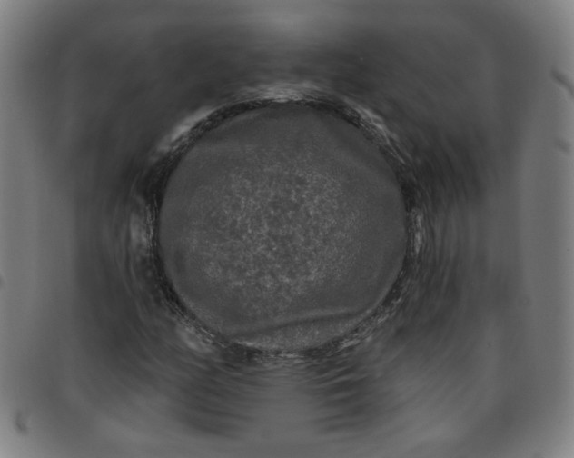 X0000097491158200803071733