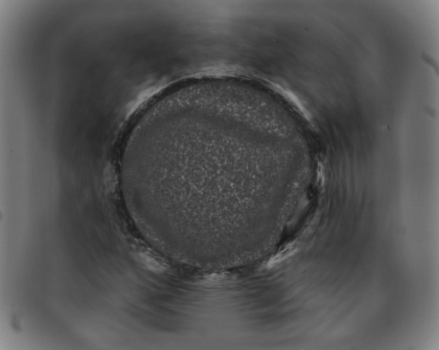 X0000097491160200803071733