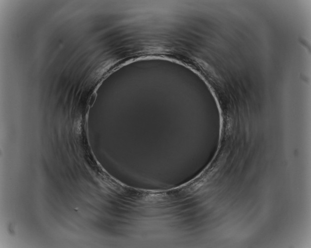 X0000097491161200803071733