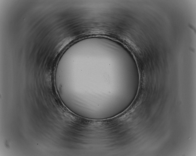 X0000097491162200803071733