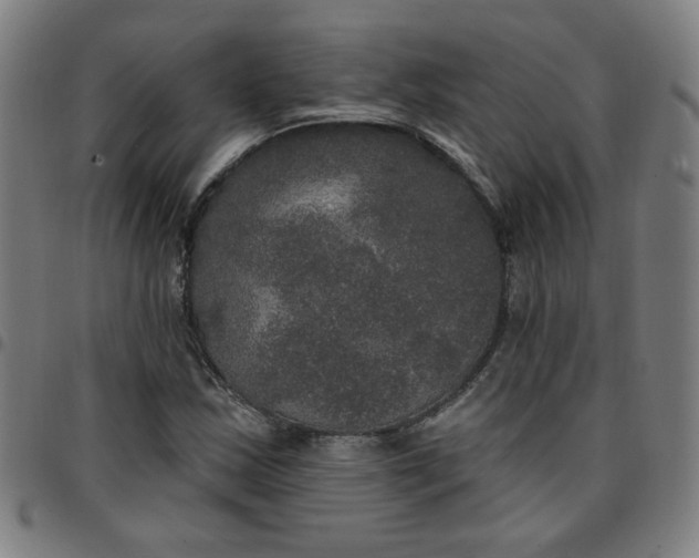 X0000097491163200803071733