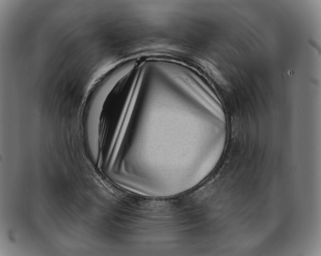 X0000097491164200803071732