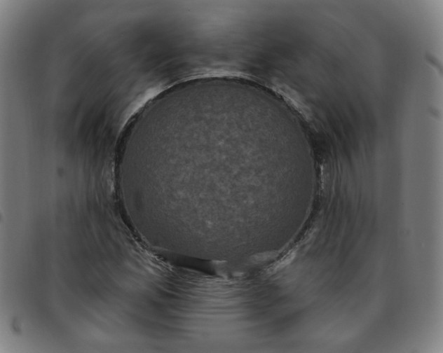 X0000097491165200803071732