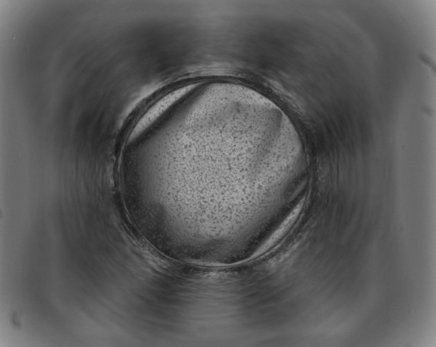 X0000097491166200803071732