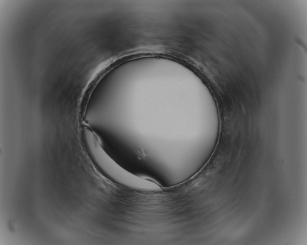 X0000097491168200803071732