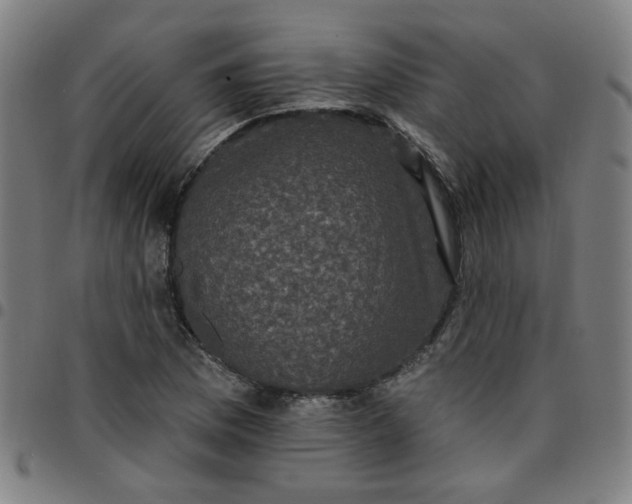 X0000097491169200803071732