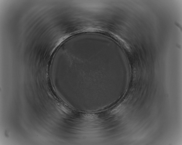 X0000097491170200803071732