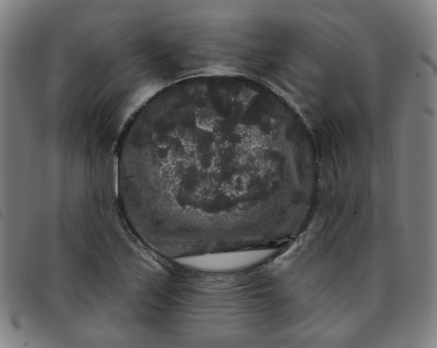 X0000097491171200803071732