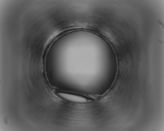 X0000097491172200803071732