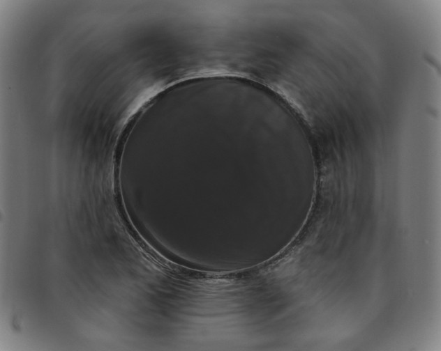 X0000097491173200803071732