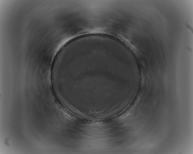 X0000097491174200803071732