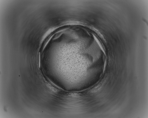 X0000097491175200803071732