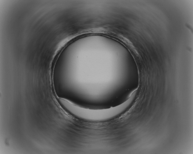 X0000097491176200803071732