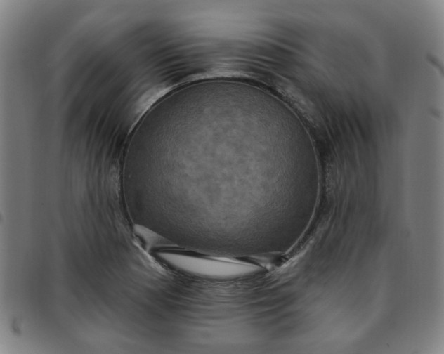 X0000097491177200803071732