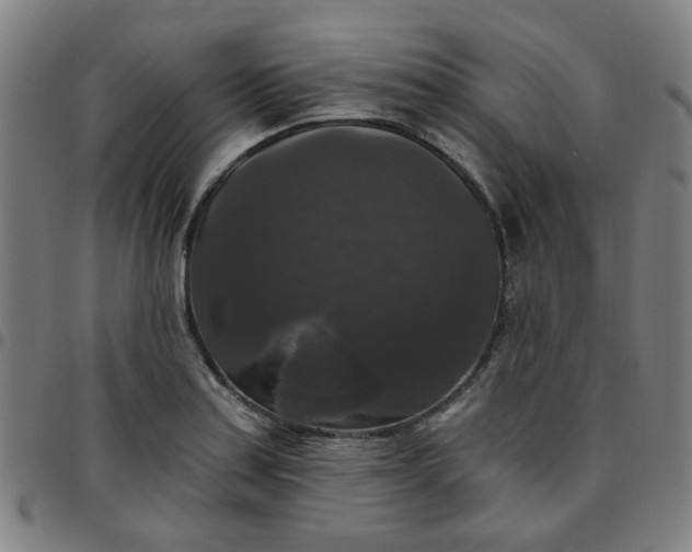 X0000097491179200803071732