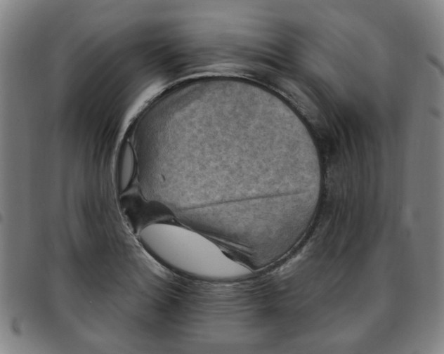 X0000097491180200803071732