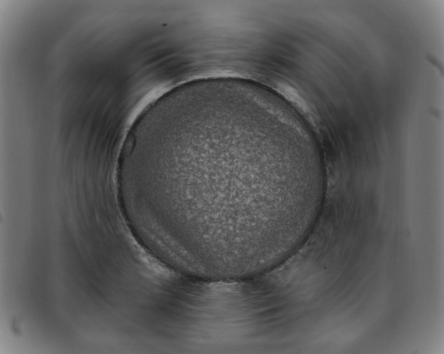 X0000097491181200803071732