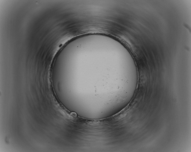 X0000097491182200803071732