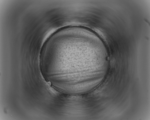 X0000097491183200803071732