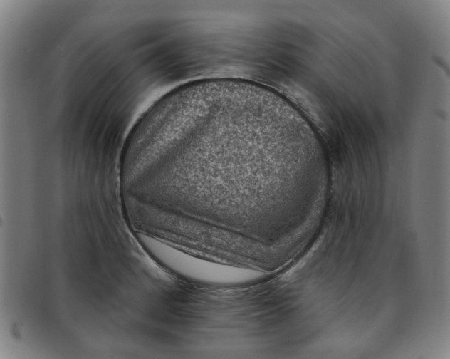 X0000097491184200803071732