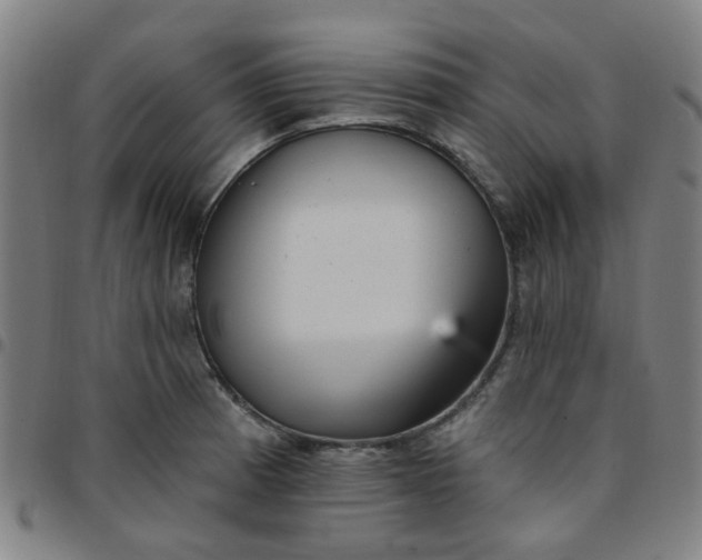 X0000097491185200803071732