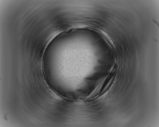 X0000097491186200803071732