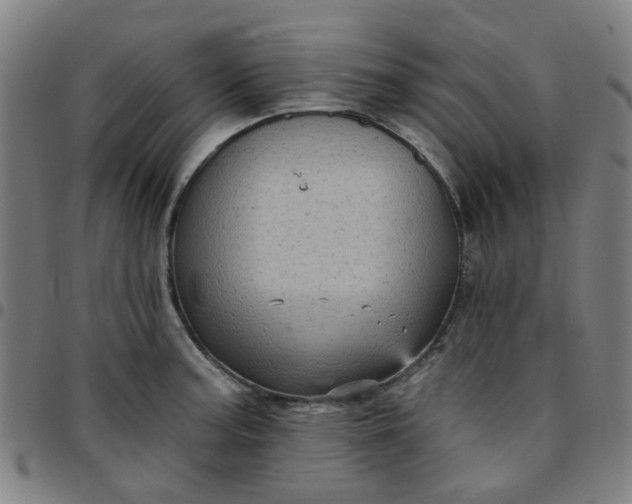 X0000097491187200803071732