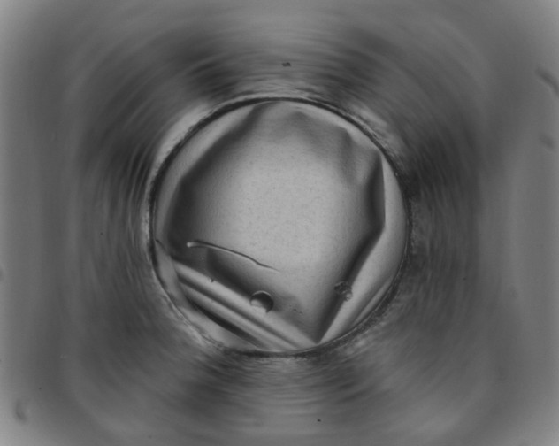 X0000097491188200803071732