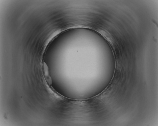 X0000097491189200803071732