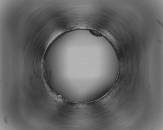 X0000097491190200803071732