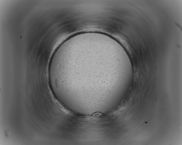 X0000097491191200803071732