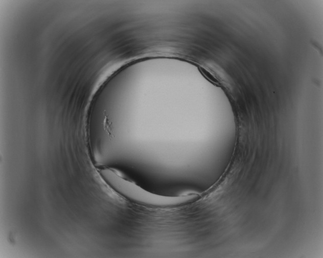 X0000097491192200803071732