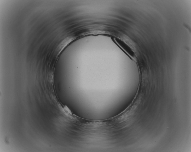 X0000097491193200803071732