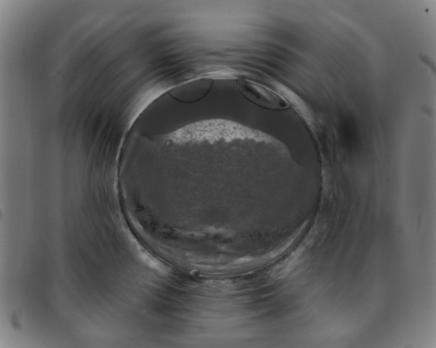 X0000097491194200803071732