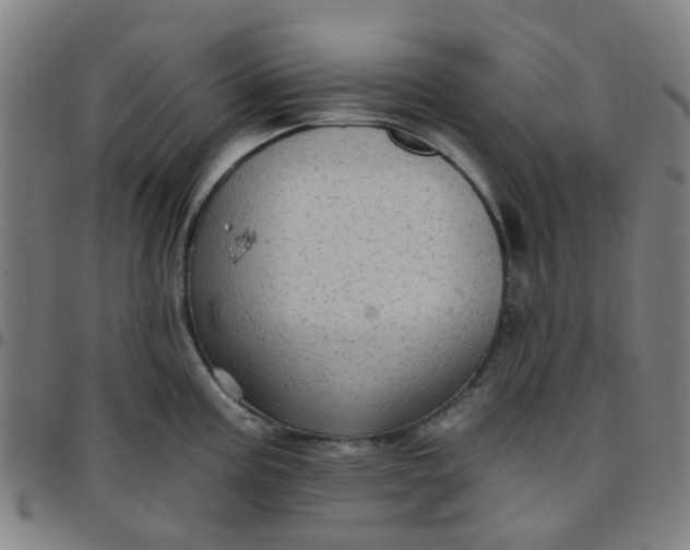 X0000097491195200803071732